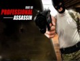 Professional Assassin